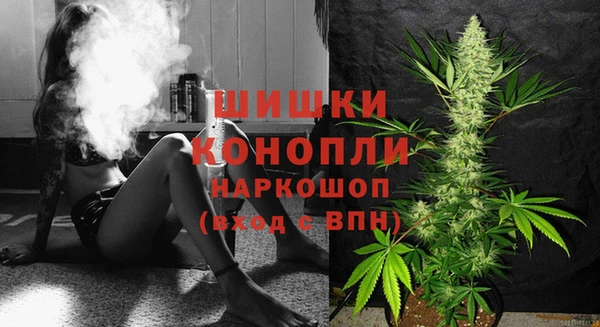 mix Богородск