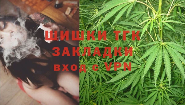 apvp Богданович