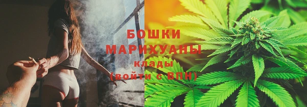 apvp Богданович