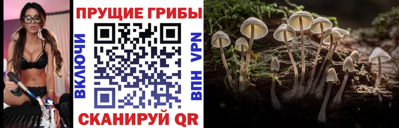 это состав  Череповец  Псилоцибиновые грибы Magic Shrooms 